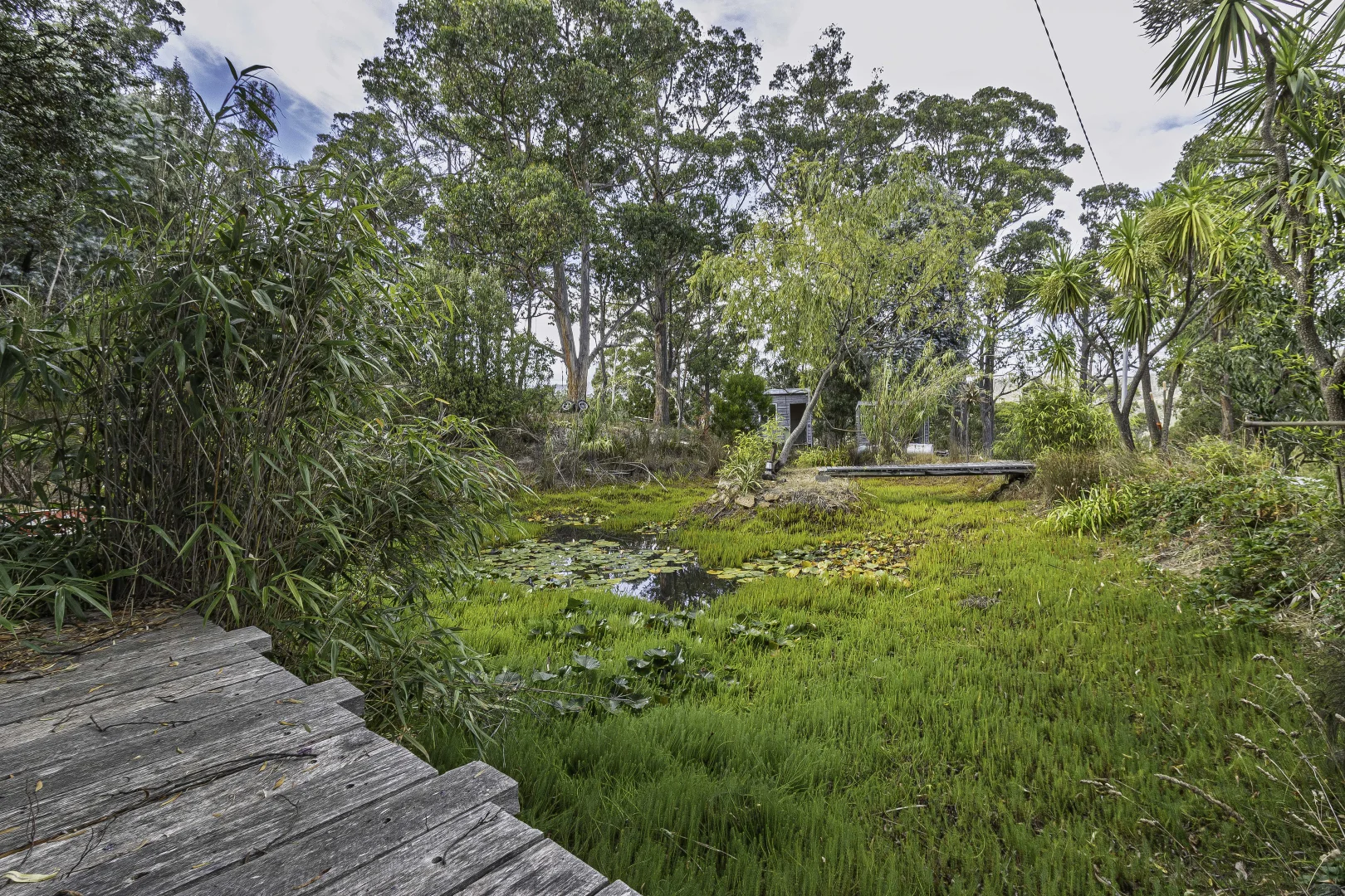 Additional image 38 of 242 Woolleys Road, Lonnavale TAS 7109