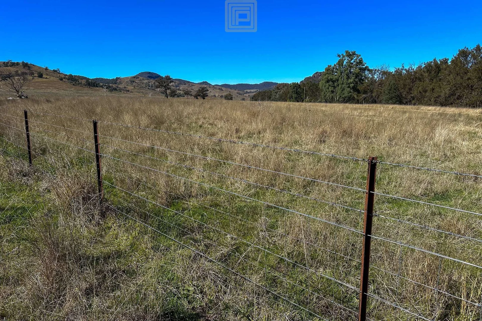 Additional image 16 of DARTHULA Pound Creek Road, Rocky Creek NSW 2390