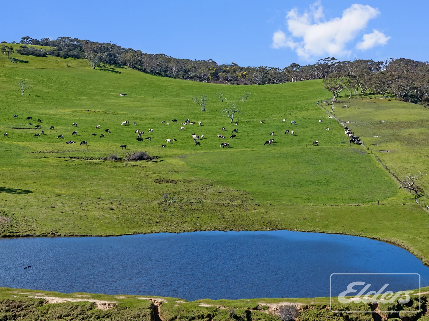 Additional image 21 of 101 Nottle Road, Lower Inman Valley SA 5211