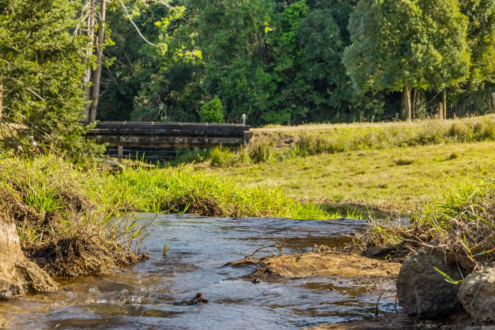 Additional image 40 of 55 Trail Road, Maleny QLD 4552