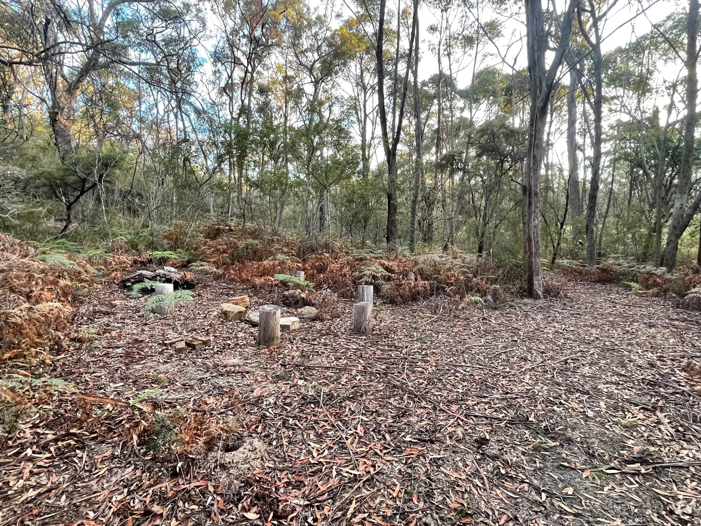 Additional image 12 of 54 Charcoal Road, South Maroota NSW 2756