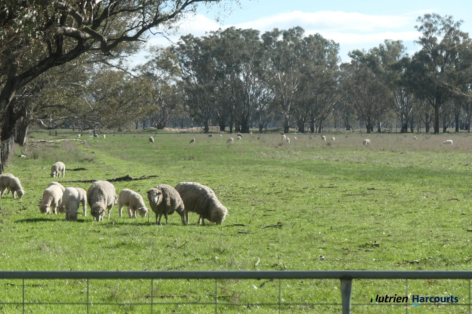 Additional image 9 of 43 Robinson Road, Violet Town VIC 3669