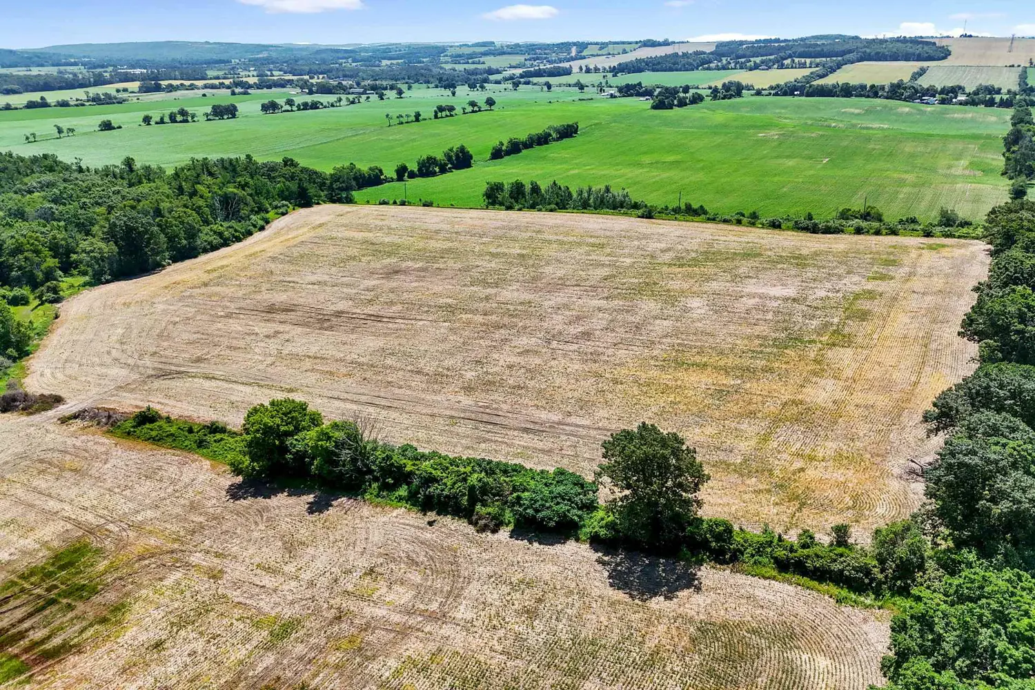 Additional image 14 of 8383 Lander Road