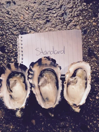 Additional image 12 of Tongue Road, Hastings TAS 7109