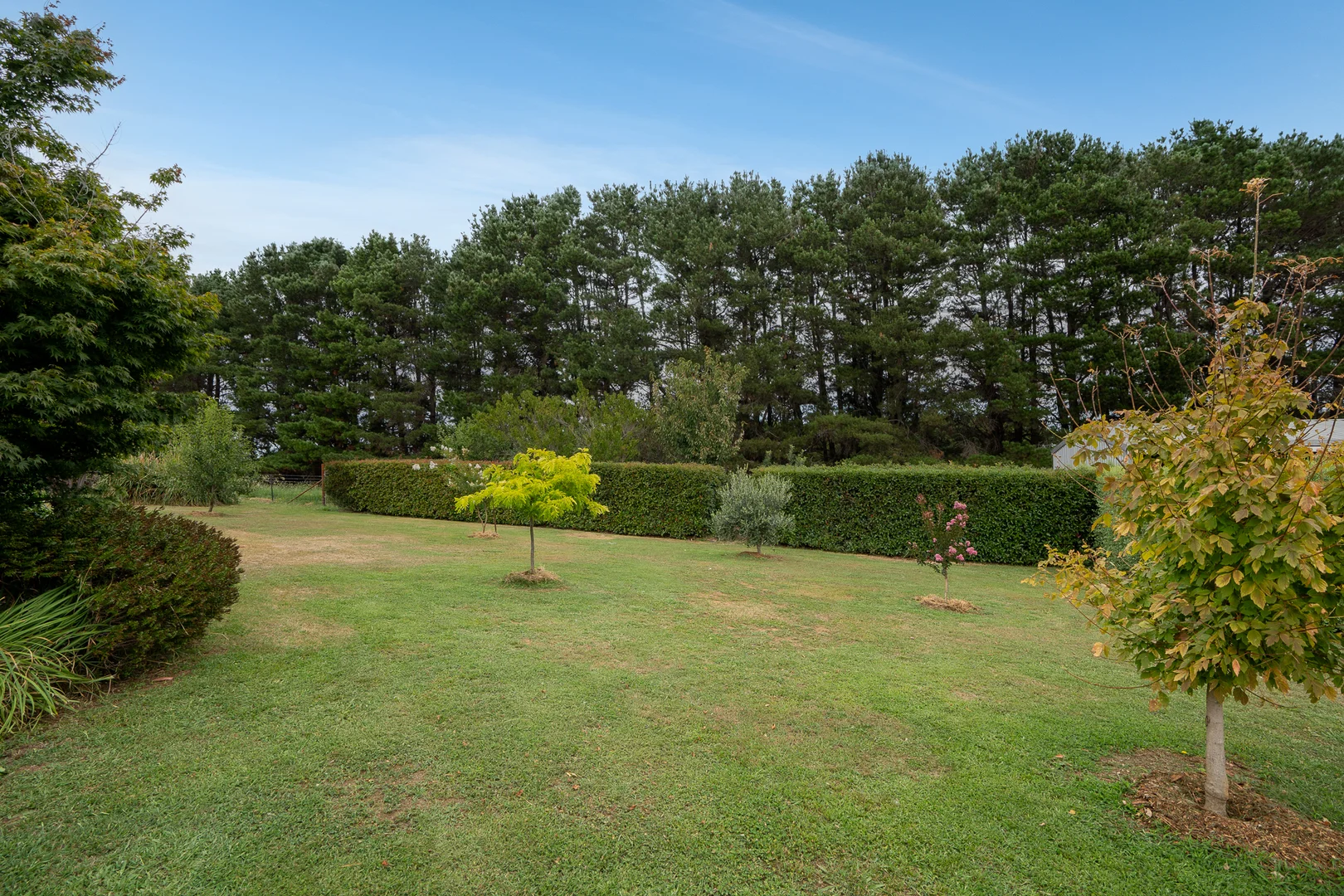 Additional image 21 of 'Top Farm' 1004 Neville-Trunkey Road, Neville NSW 2799