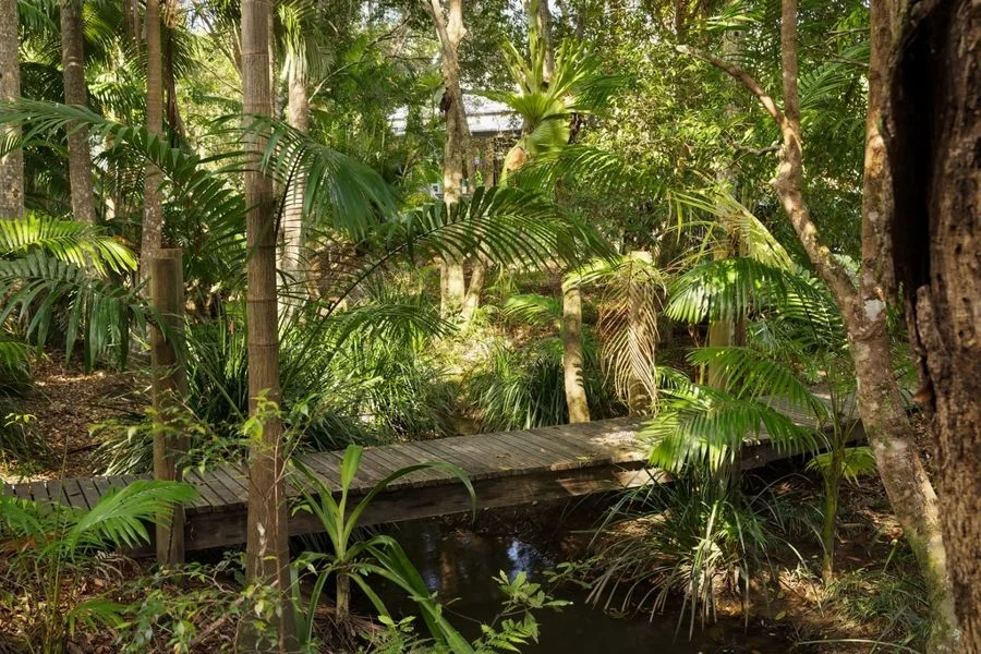 Additional image 27 of 98 Greenvale Court, Burringbar NSW 2483