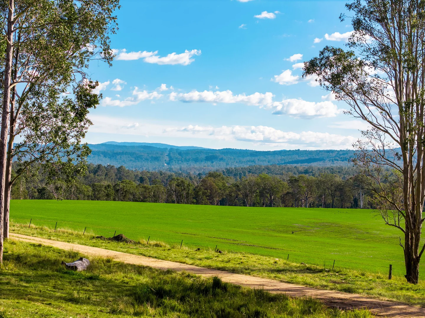 Additional image 39 of 119 Paddys Flat Road, Tabulam NSW 2469