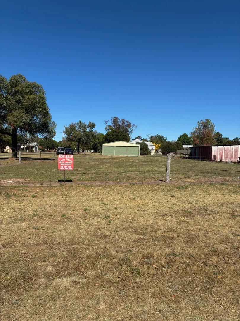 Additional image 4 of 25 RAILWAY STREET, Binnaway NSW 2395