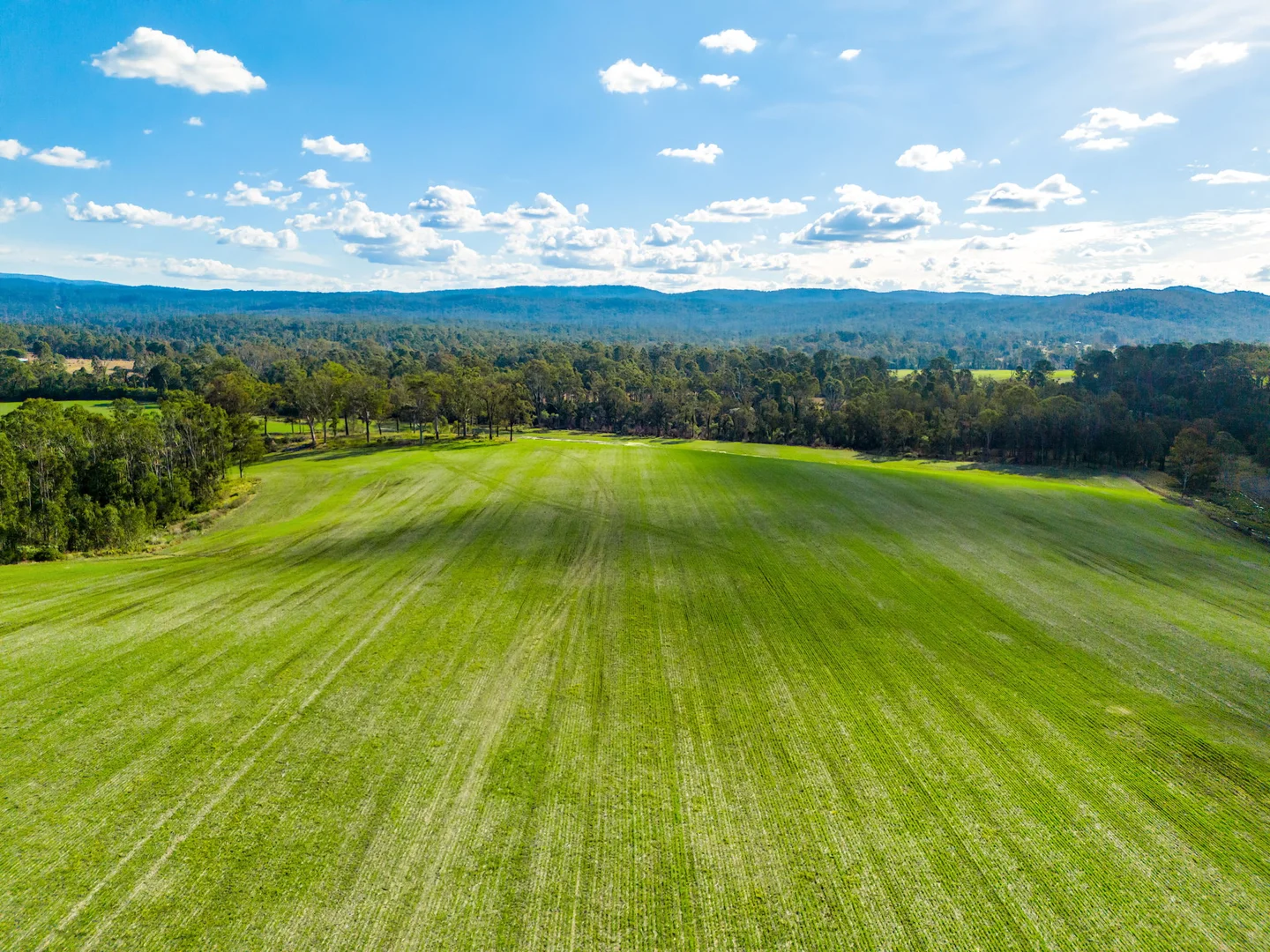 Additional image 5 of 119 Paddys Flat Road, Tabulam NSW 2469