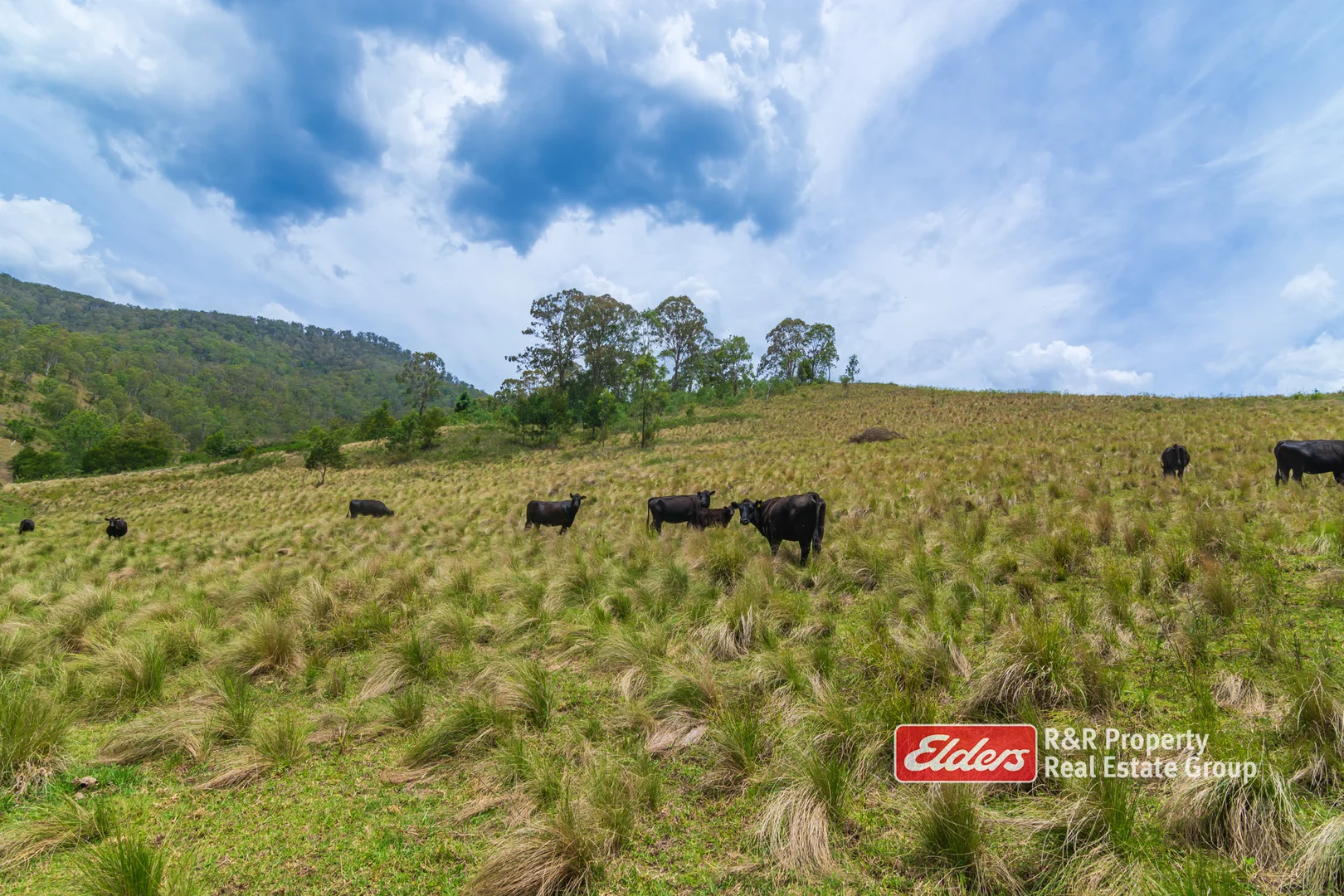 Additional image 12 of 2241 Curricabark Road, Dewitt NSW 2422