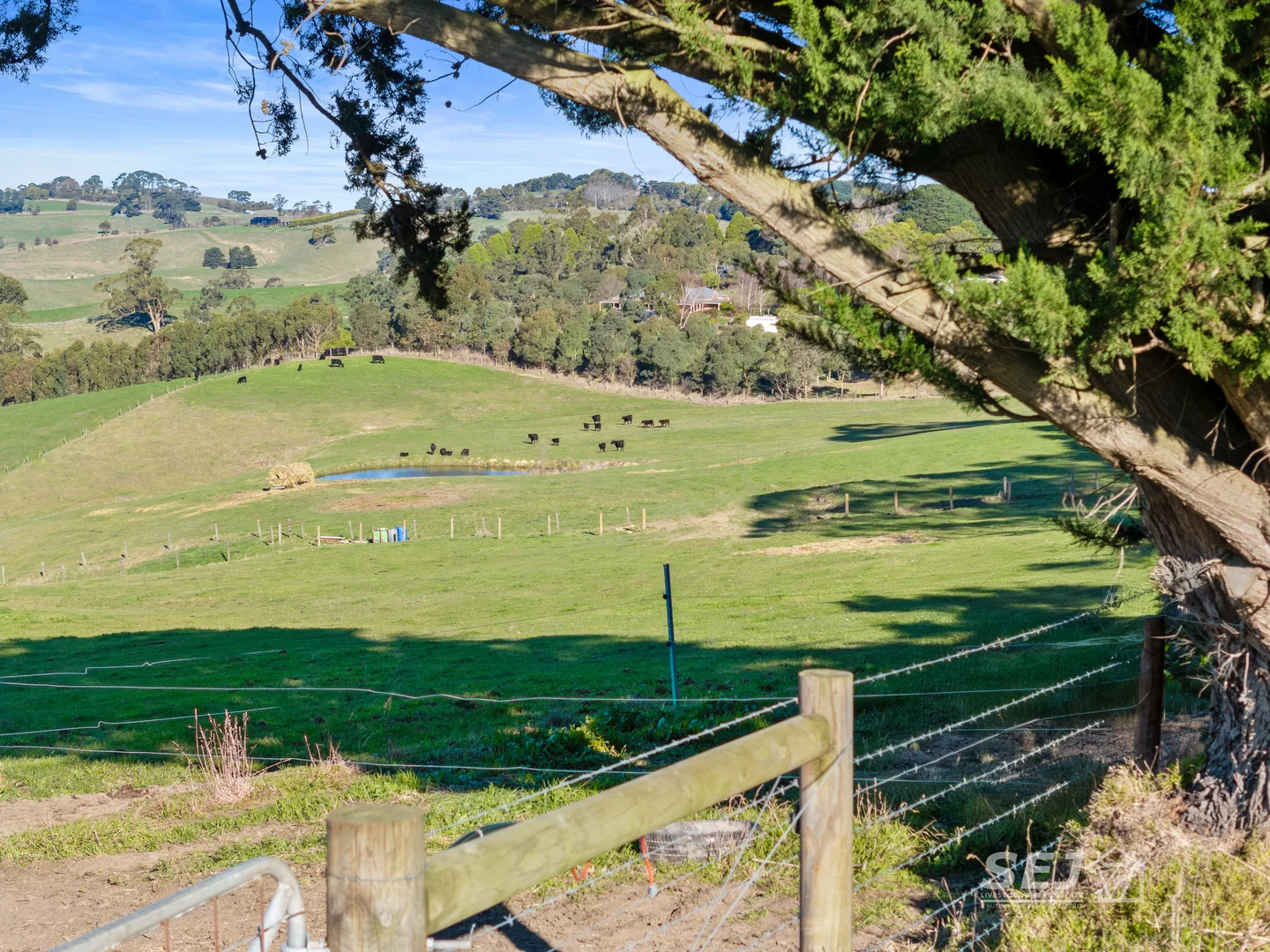 Additional image 9 of 710 Korumburra - Warragul Road, Ranceby VIC 3951