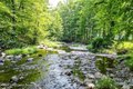Additional image 35 of 203 Samsonville Rd, Kerhonkson, NY, 12446