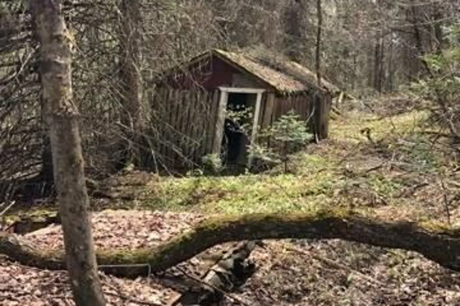 Additional image 2 of 2595 Etwell Road