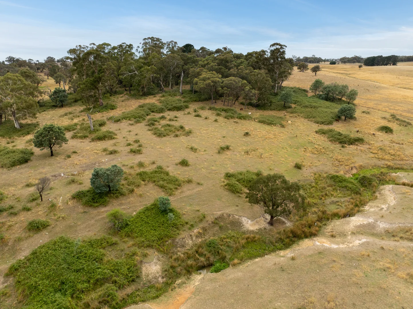 Additional image 45 of 'Top Farm' 1004 Neville-Trunkey Road, Neville NSW 2799