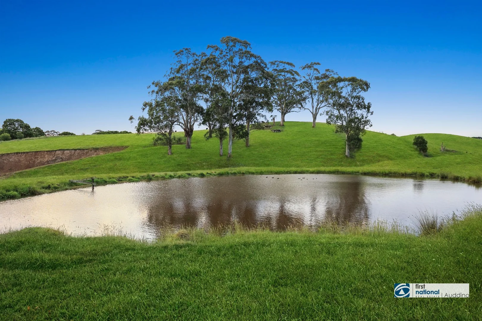 Additional image 27 of 8055 South Gippsland Highway, Korumburra VIC 3950