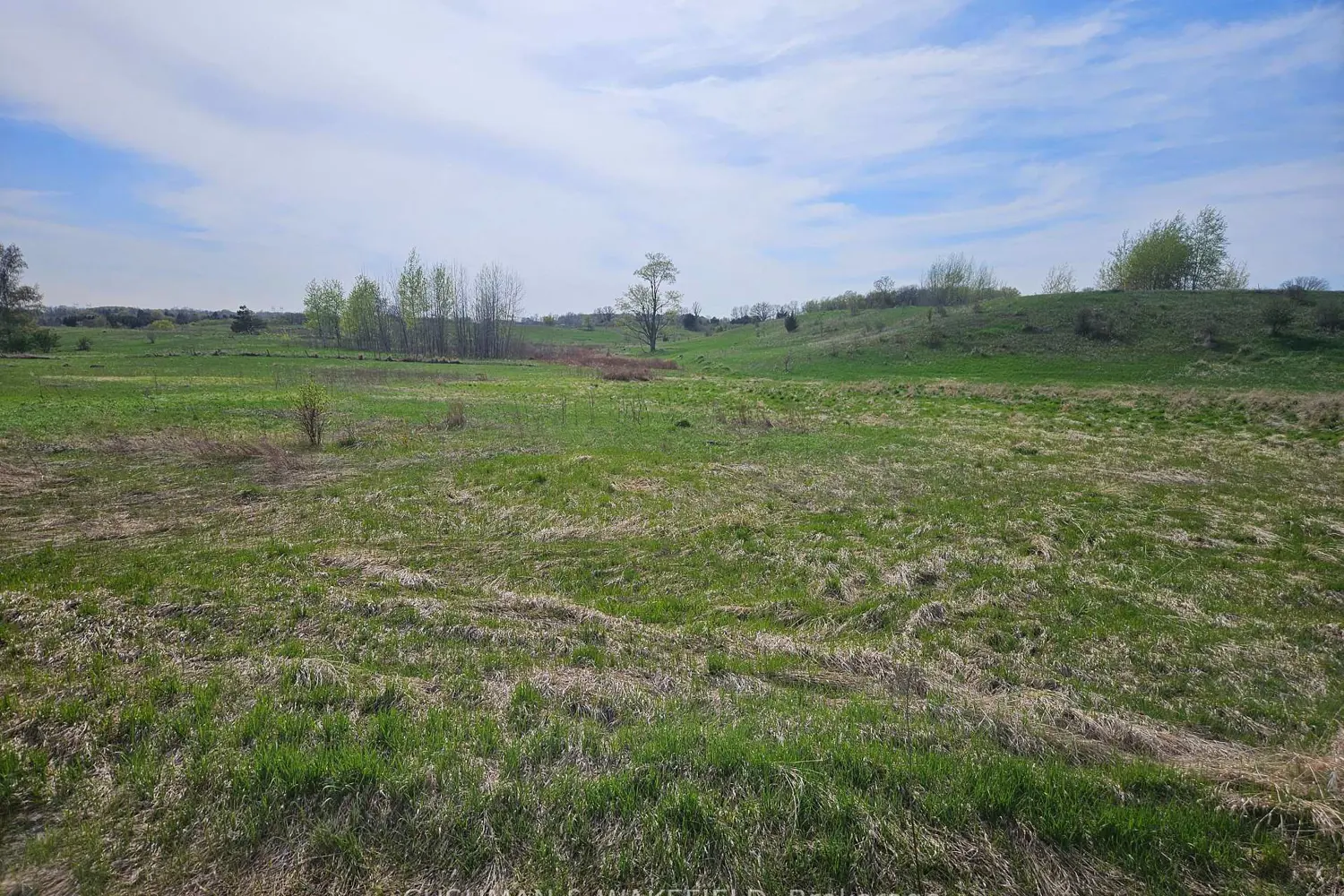 Additional image 7 of 1052 Sideroad 20