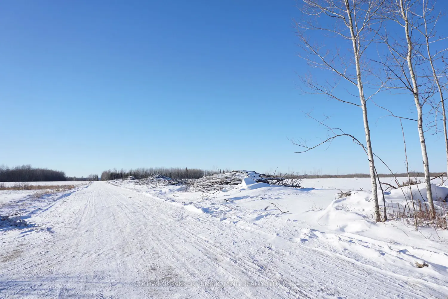 Additional image 10 of 208181 Cabin Road