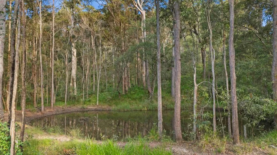 Additional image 10 of 528 Tagigan Road, Goomboorian QLD 4570