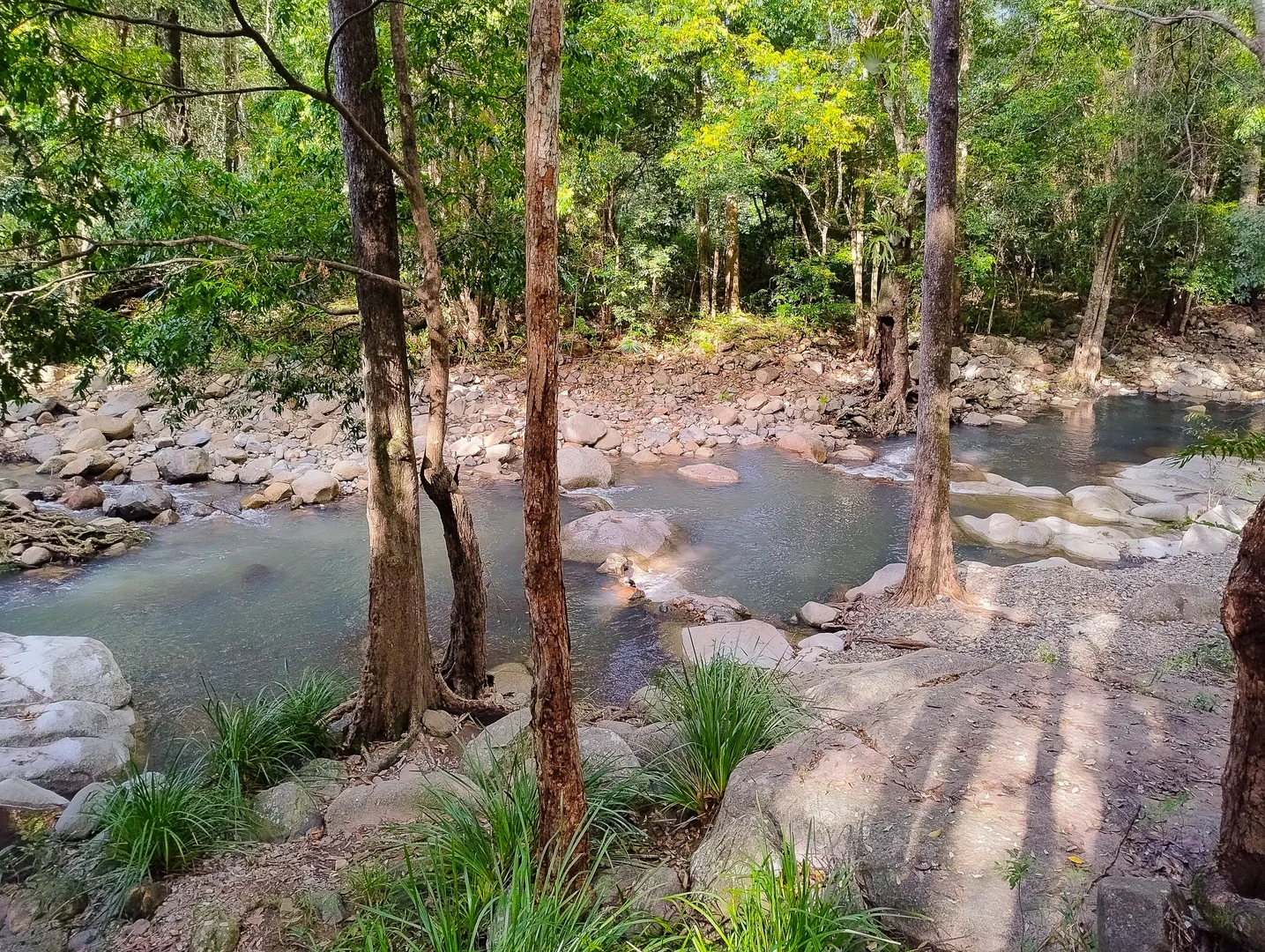 Additional image 23 of 901 Cedar Creek Road, Cedar Creek QLD 4520