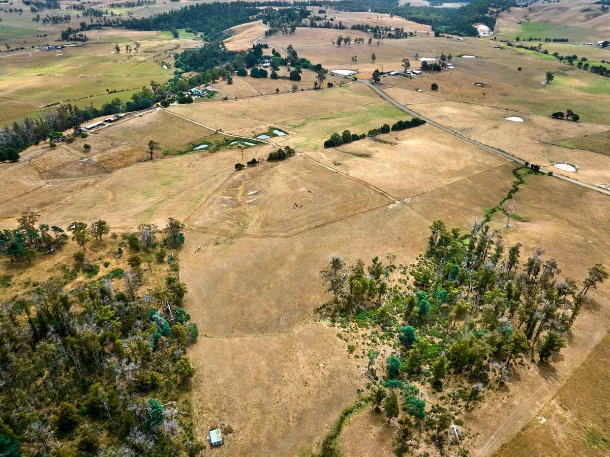 Additional image 19 of 110a Paling Track, Bangor TAS 7267