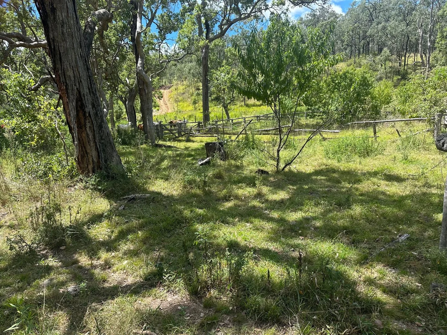 Additional image 14 of Lot 16 Bonner Road, Rivertree NSW 2372