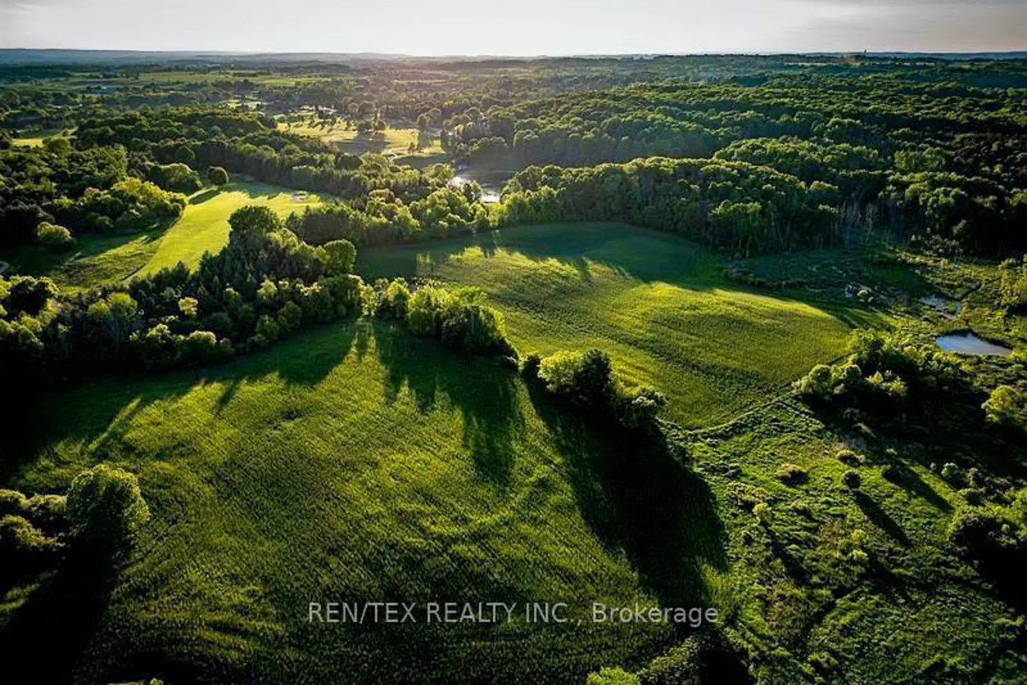 Additional image 5 of 14140 8Th Concession Road