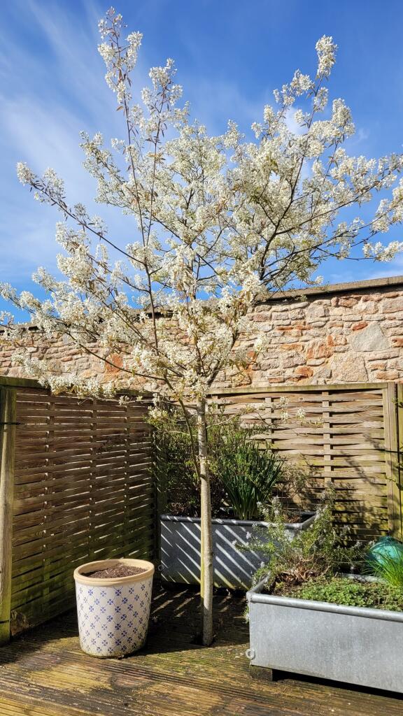 Additional image 19 of Penn Place, South Street , Wells, BA5