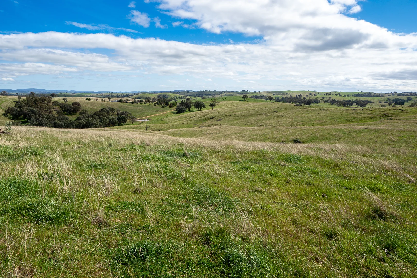 Additional image 19 of 'Cronga Peak' 157 Cronga Peak Road, Molong NSW 2866