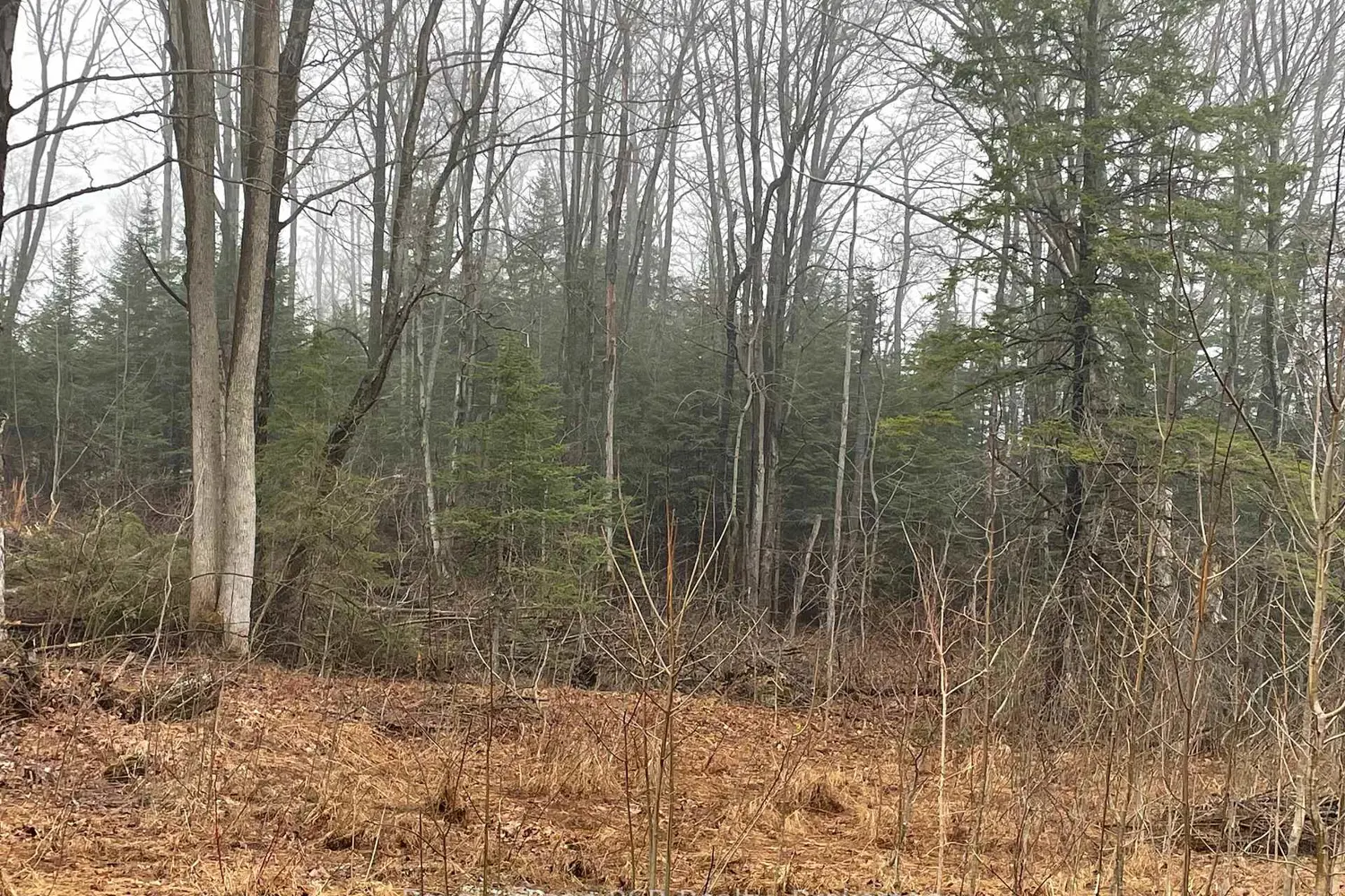 Additional image 11 of Lt 35 Highland Drive