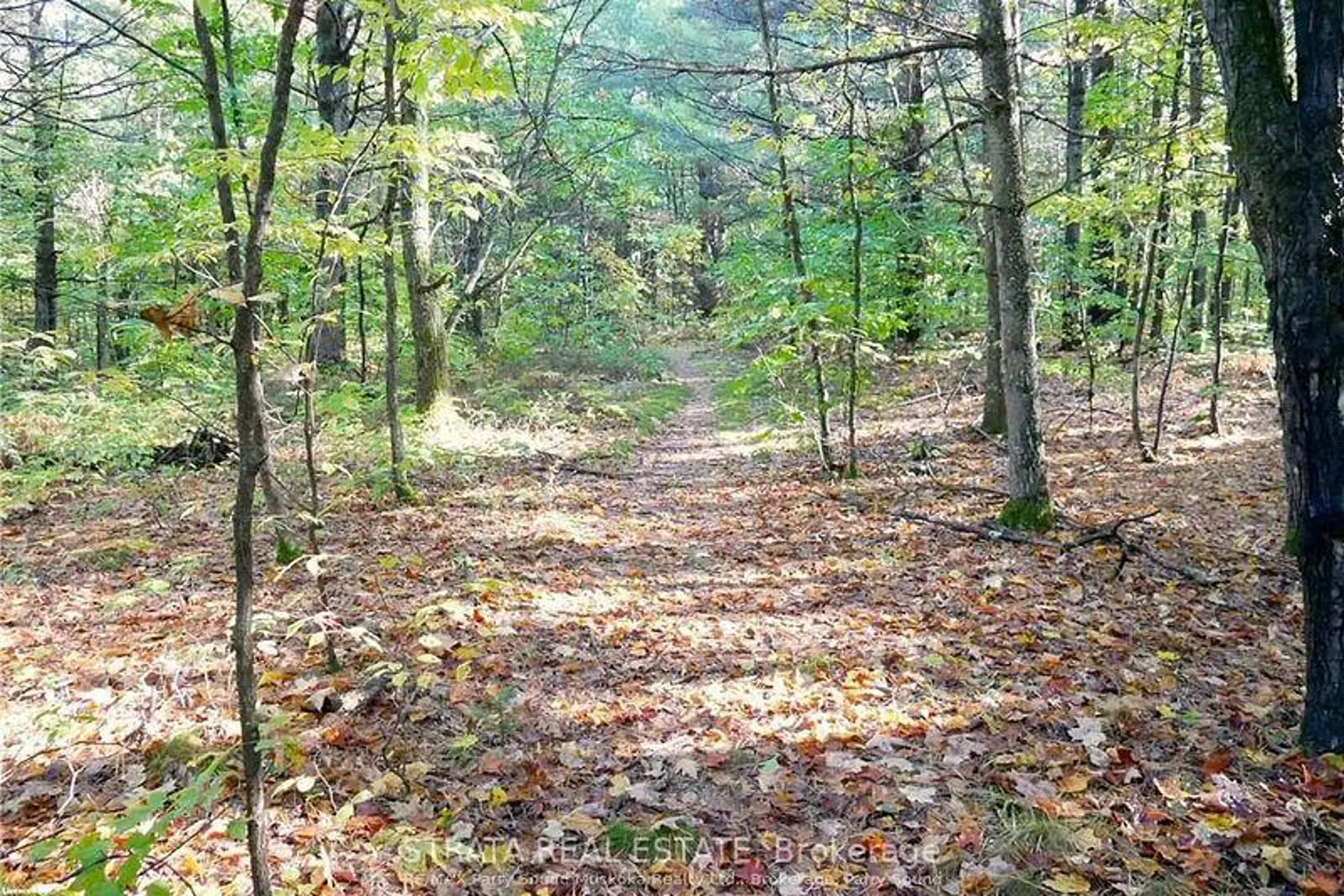 Additional image 10 of 0 518