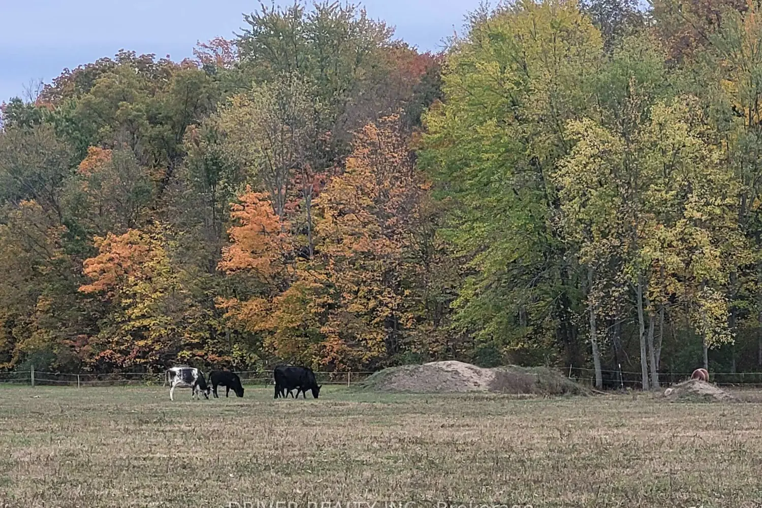 Additional image 12 of 1726 4Th Concession Road