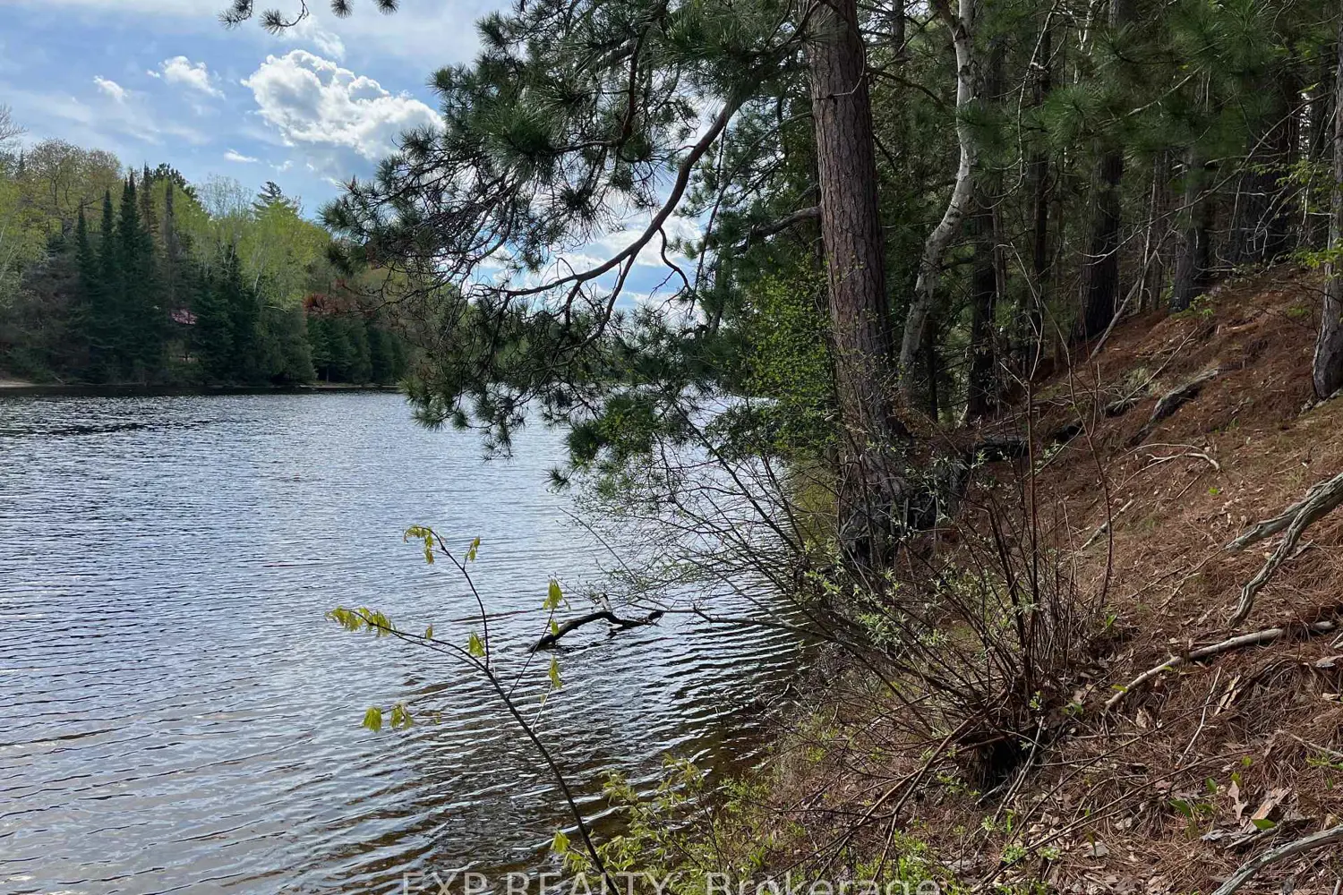 Additional image 4 of Lot 30 Sandy Shores Trail