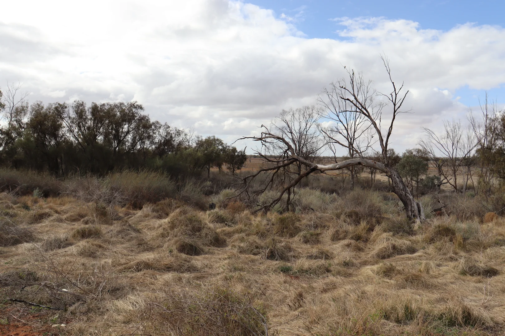 Additional image 38 of 334 Katarapko Crescent, Winkie SA 5343