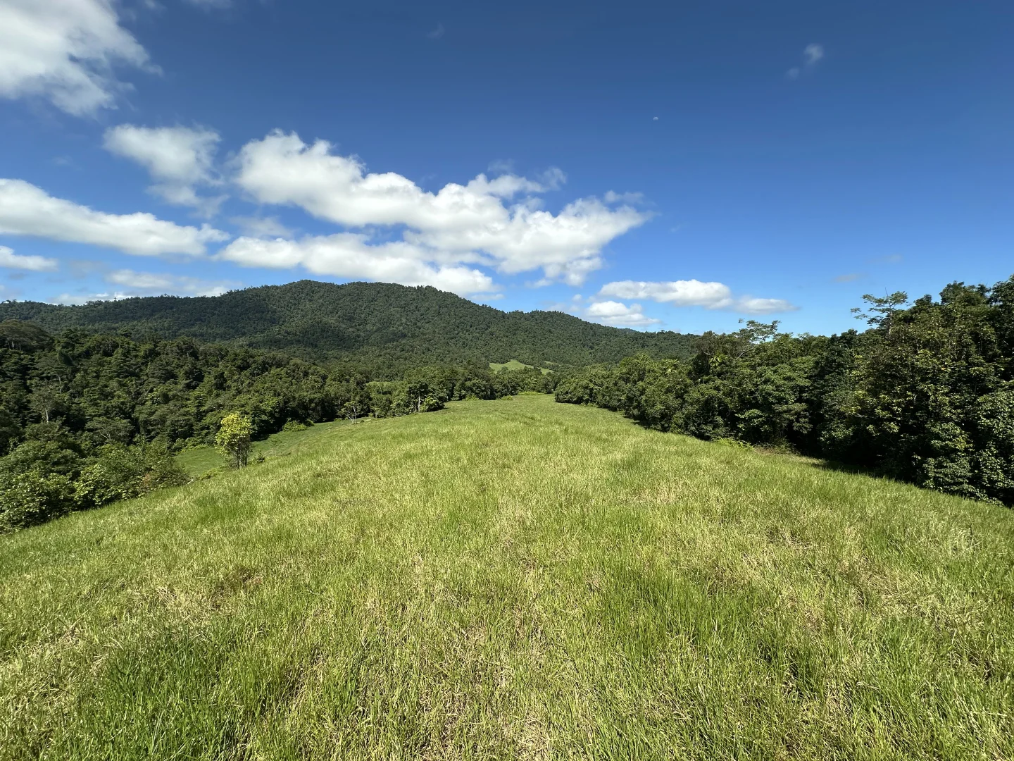 Additional image 15 of Japoonvale QLD 4856