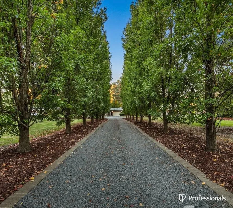 Additional image 44 of 14 Jeanette Maree Court, Kilsyth VIC 3137