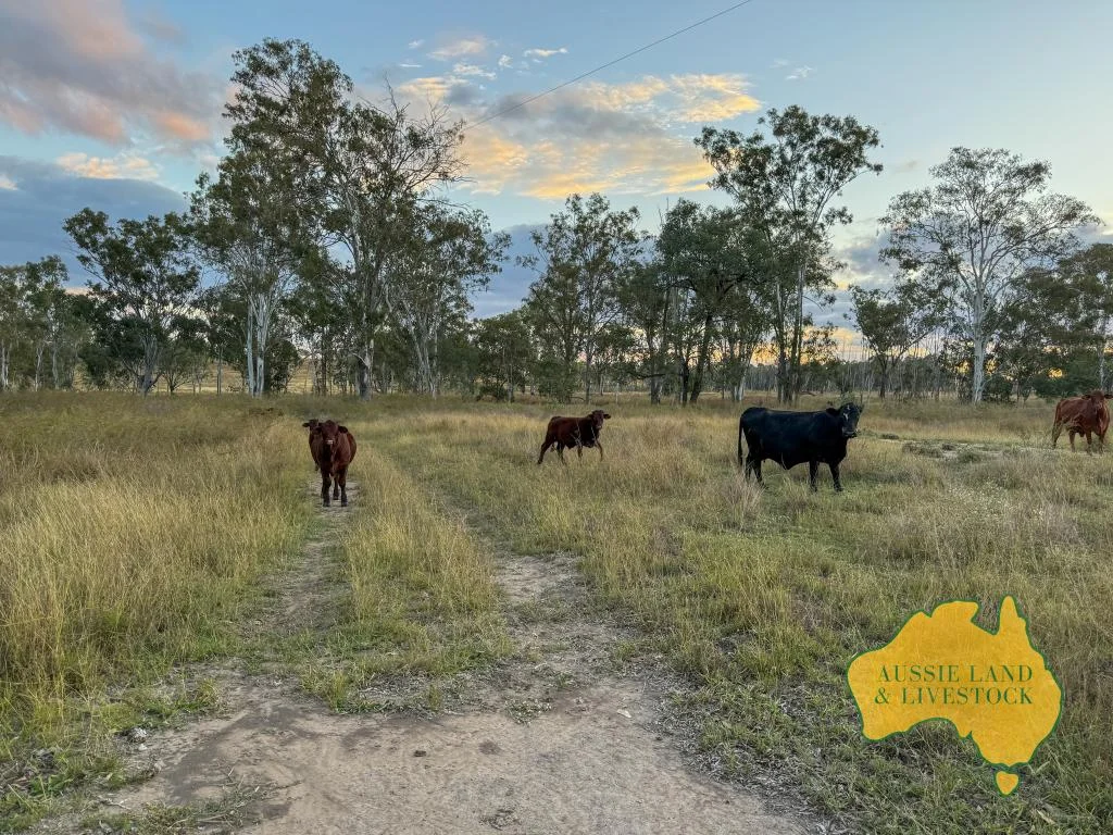 Additional image 66 of 8 SCREENING PLANT ROAD, Cynthia QLD 4627