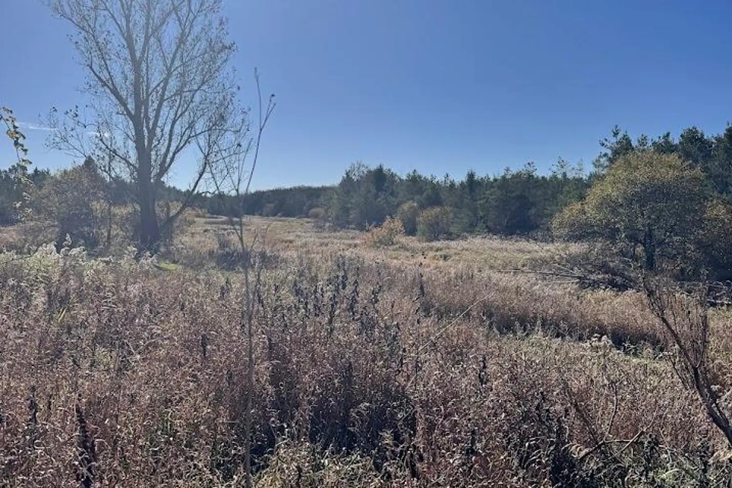 Additional image 15 of 211 Queen Street