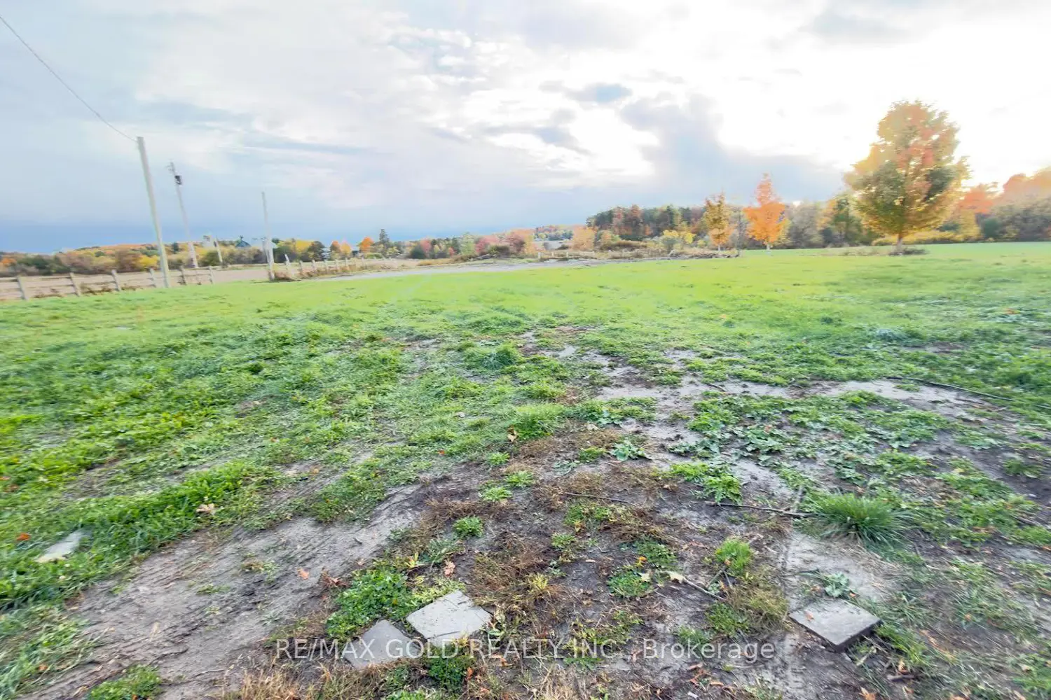 Additional image 5 of 8790 Trafalgar Road