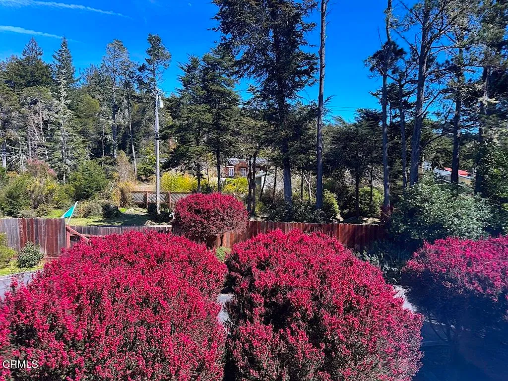 Additional image 21 of 10360 Gary Lane, Mendocino, CA 95460