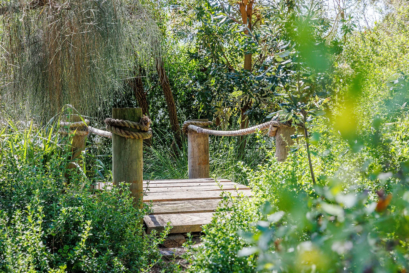 Additional image 14 of 637 Point Nepean Road, McCrae VIC 3938