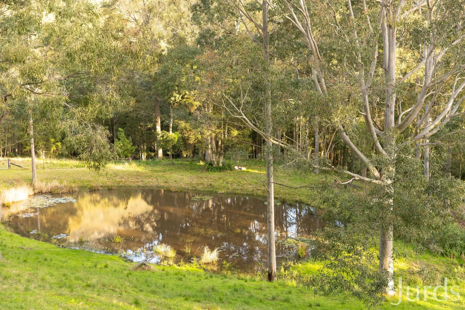 Additional image 33 of 131 Rodney Road, Mount Vincent NSW 2323