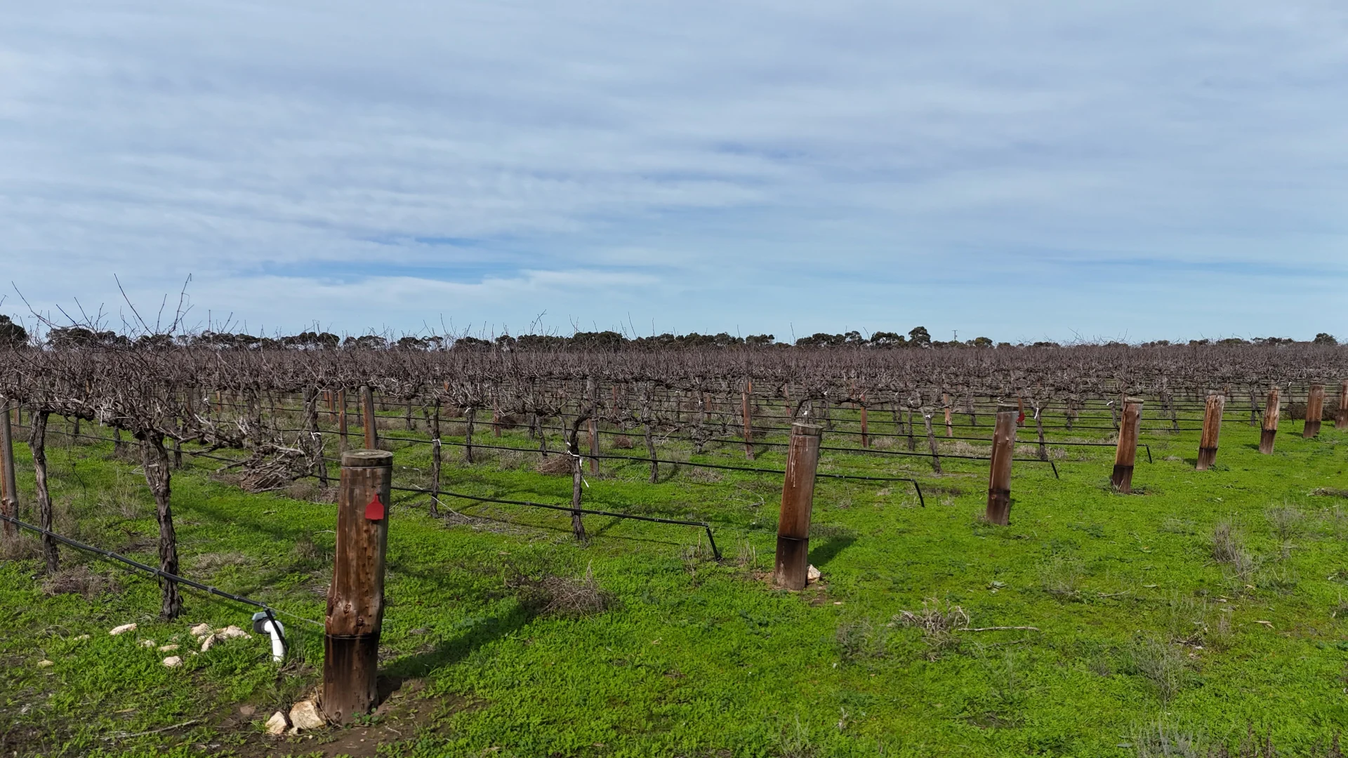 Additional image 10 of 359 Chapel Road, Lake Plains SA 5255