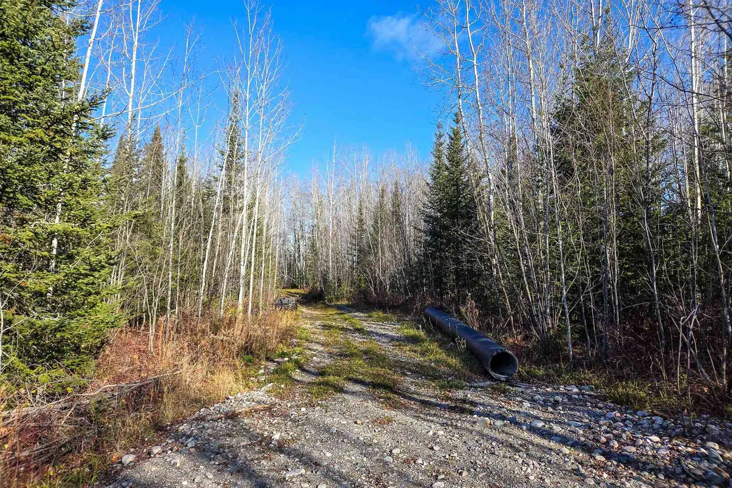 Additional image 7 of Pt 4 Cabin Road
