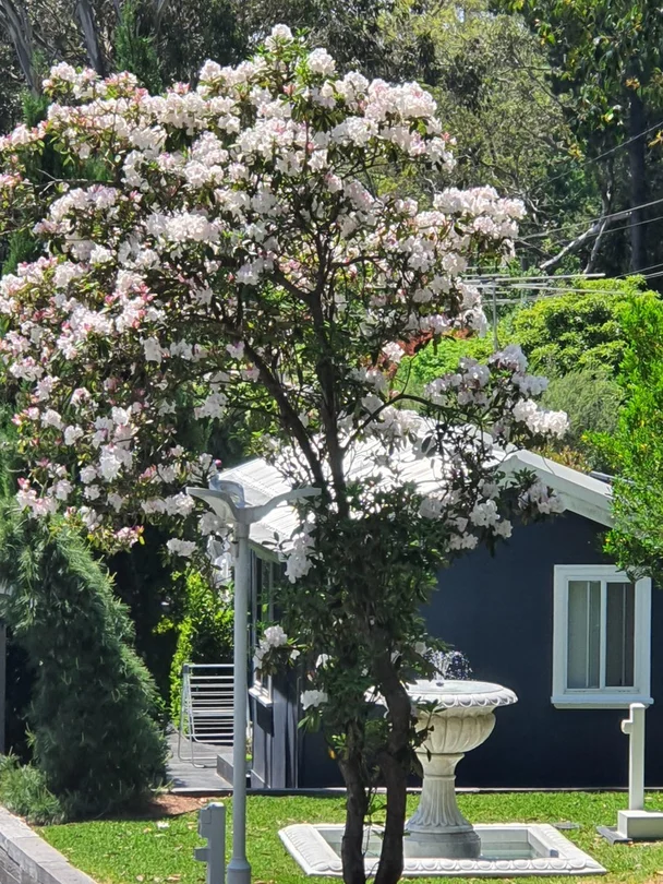 Additional image 15 of 17 Old Bowral Road, Bowral NSW 2576