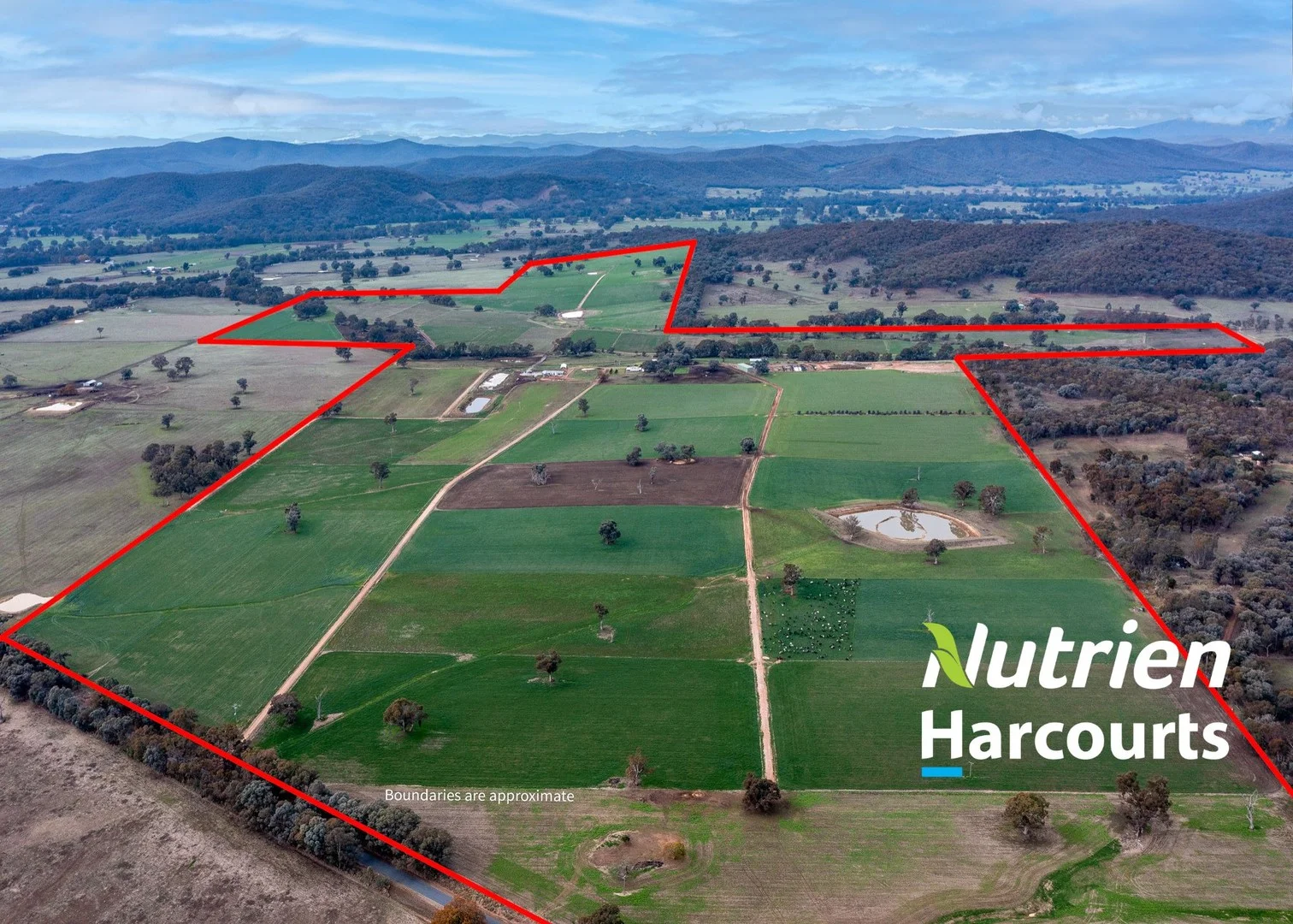 301 Boggy Creek Road, Moyhu VIC 3732