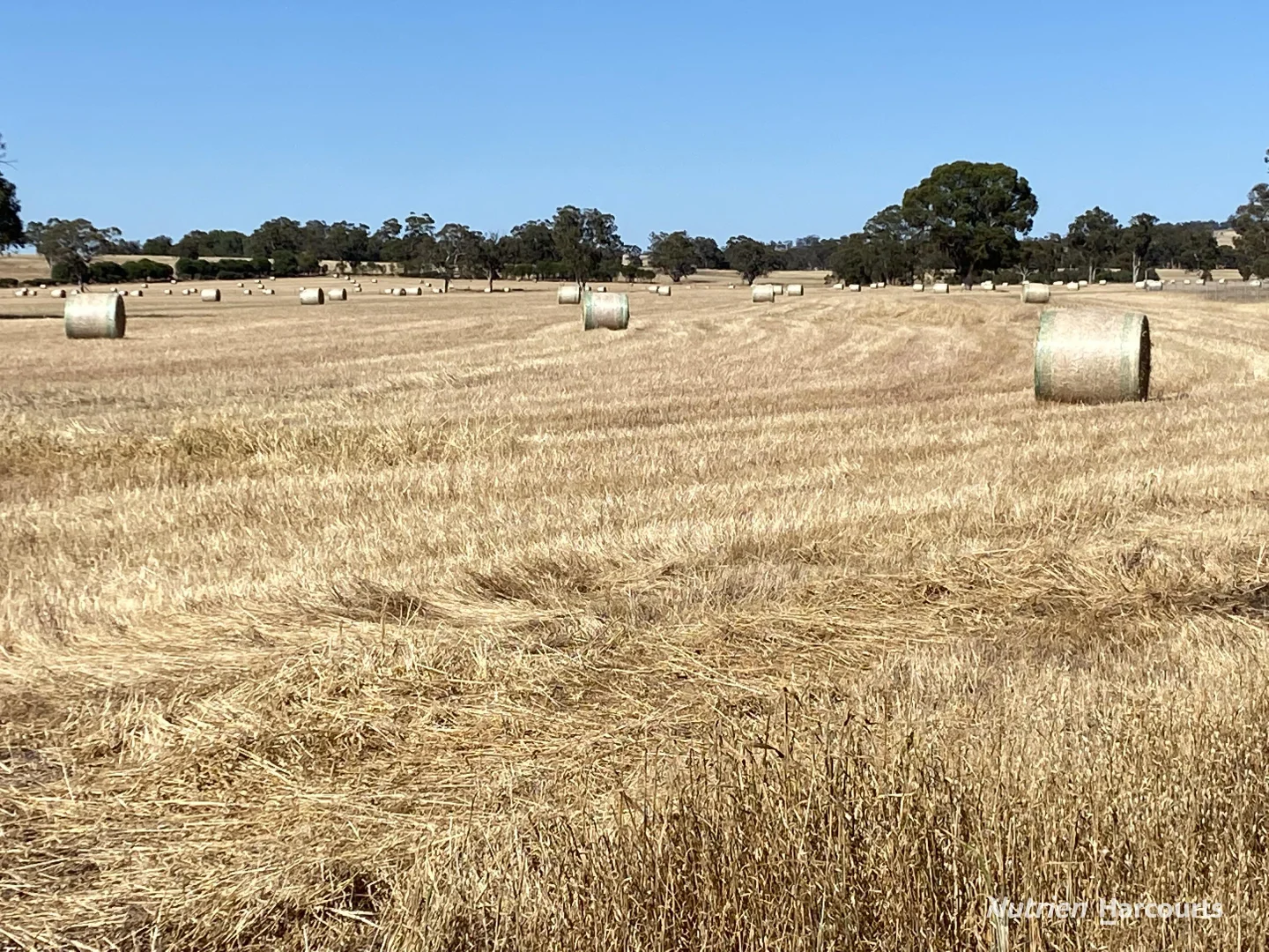 Additional image 5 of 401 York-Williams Road, Dale WA 6304