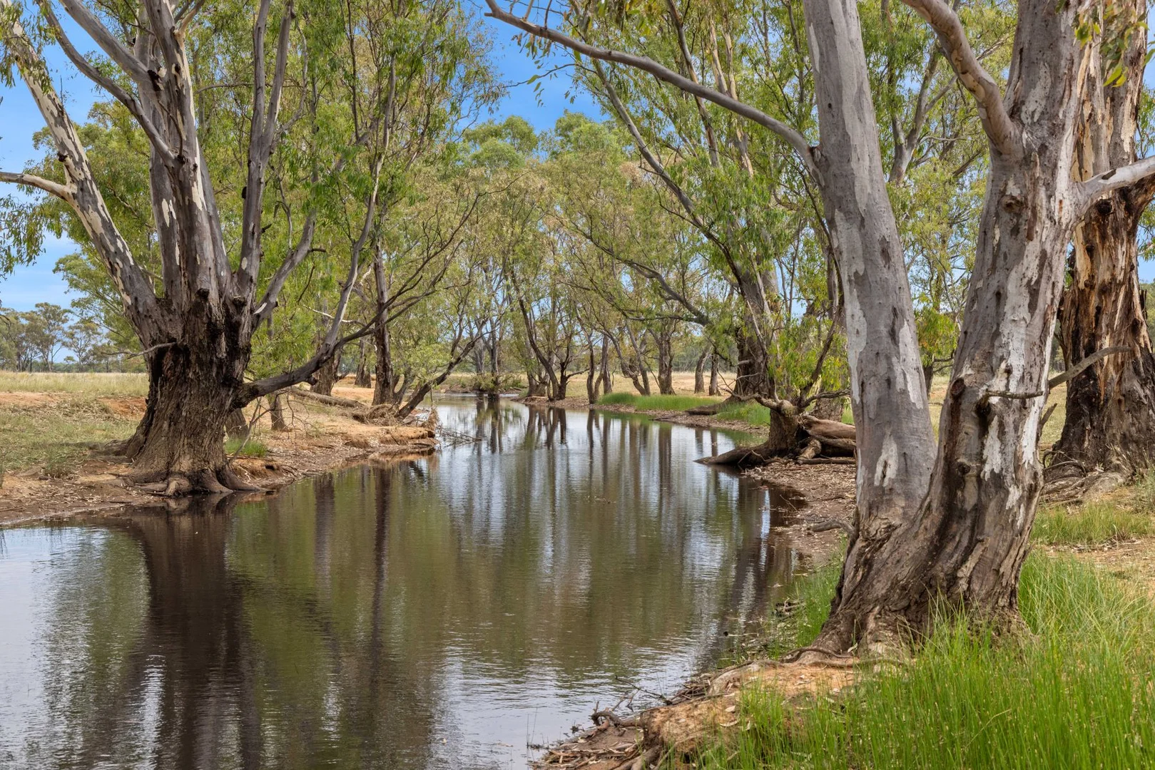 Additional image 4 of Cnr of Fitzpatricks & Rothackers Road, Woodvale VIC 3556