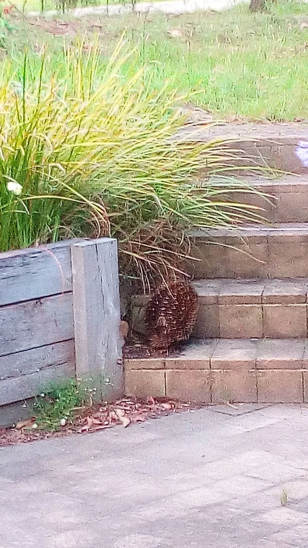 Additional image 17 of 1 Kingscote Drive, Metung VIC 3904