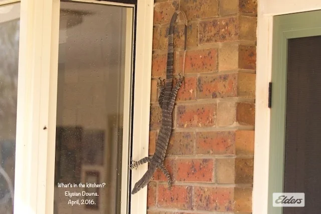 Additional image 14 of 50 William Perry Lane, Sebastian VIC 3556