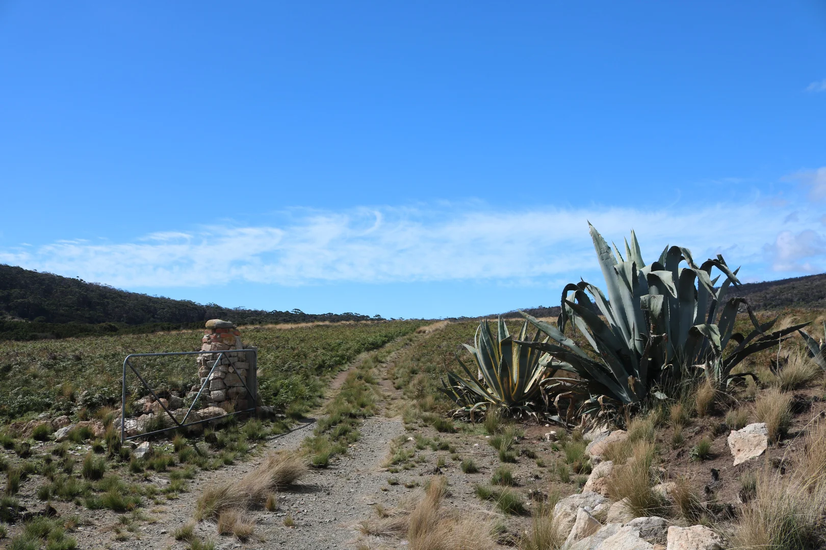 Additional image 11 of Lot 5 West End Road, Leeka TAS 7255